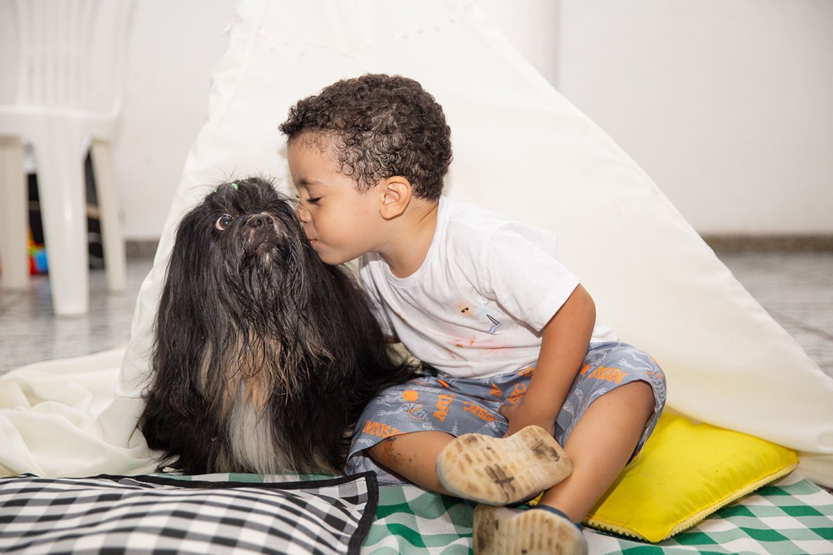 fotografia-ensaio-pet-aniversario-familia-shihtzu-vila-velha