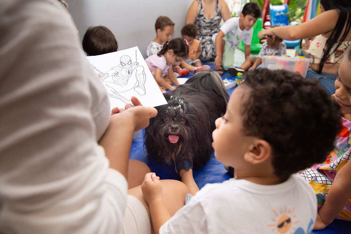 fotografia-ensaio-pet-aniversario-recreacao-shihtzu-vila-velha