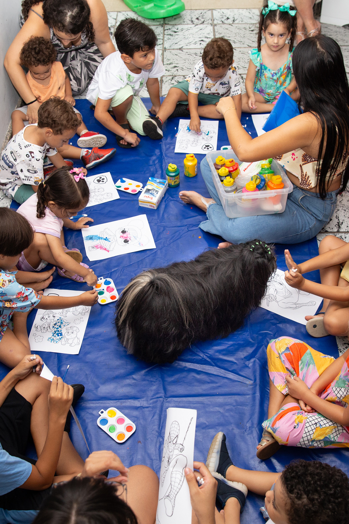 fotografia-ensaio-pet-aniversario-recreacao-shihtzu-vila-velha