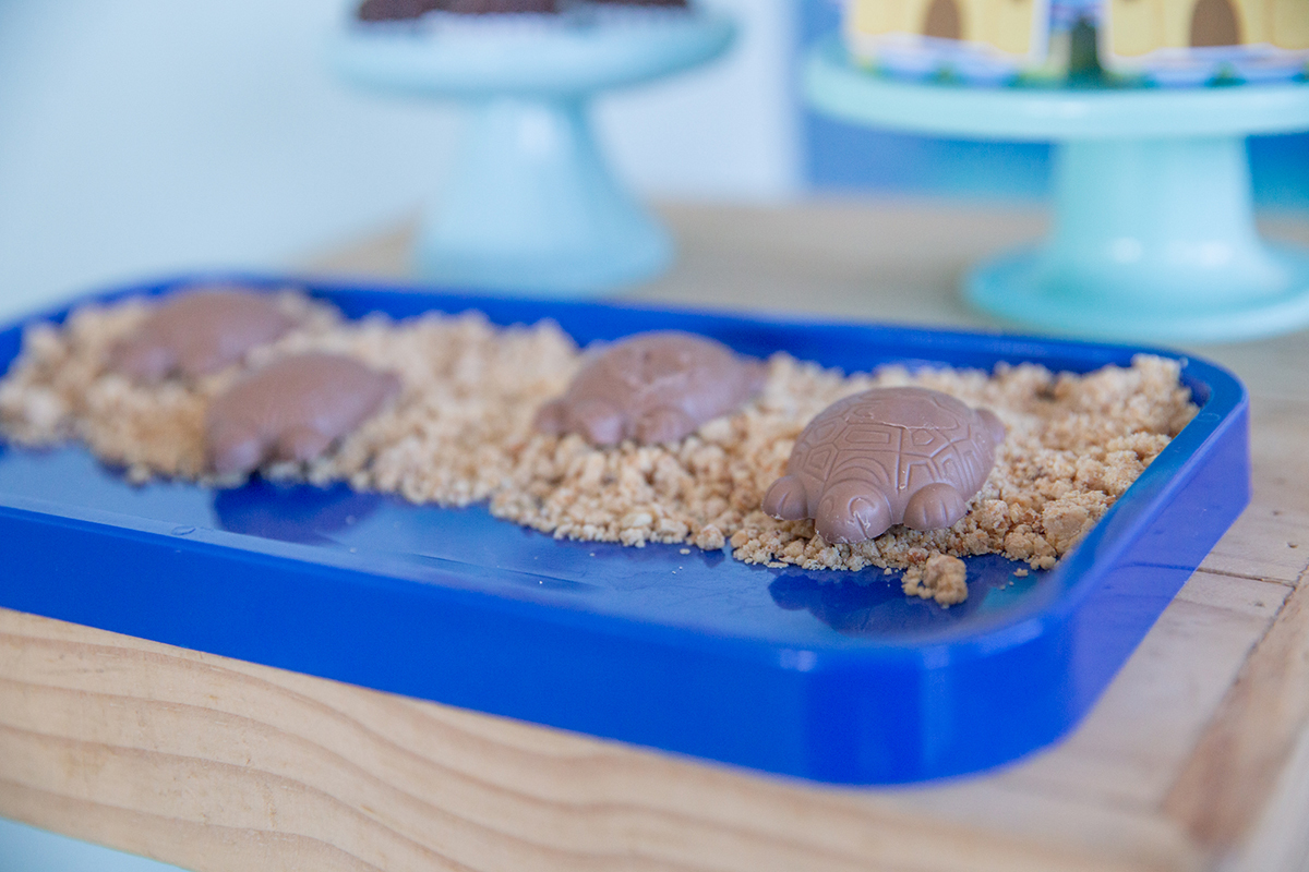 fotografia-aniversario-infantil-praia-decoracao-vila-velha-espirito-santo