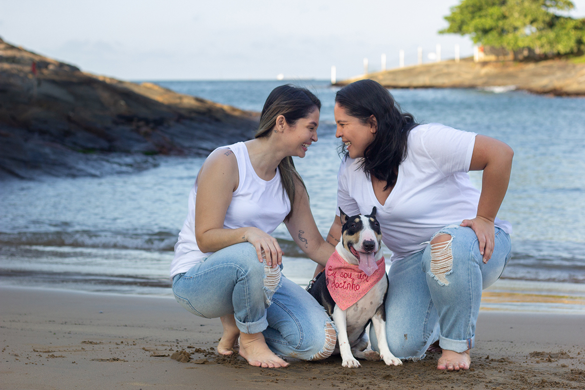 fotografia-pet-praia-ensaio-bull-terrier-espirito-santo