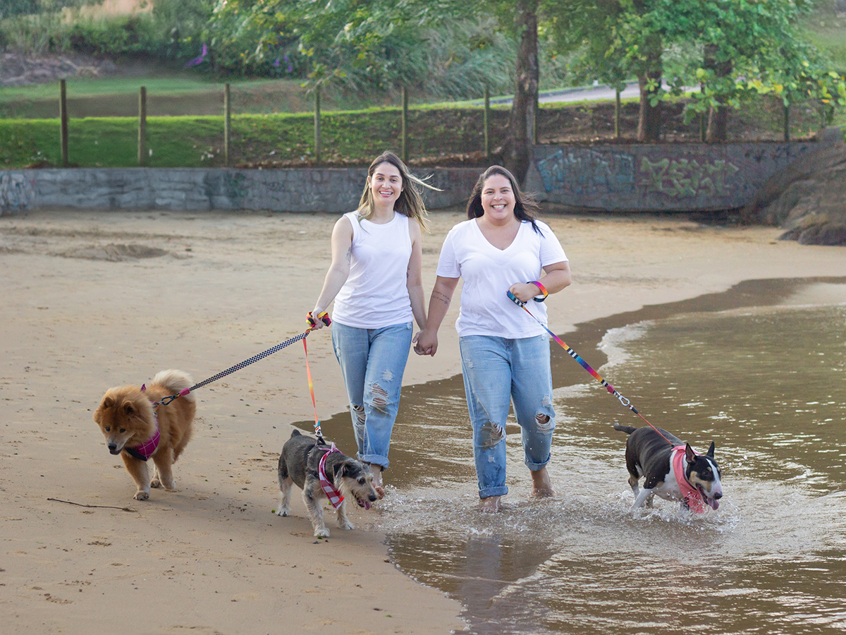 fotografia-pet-praia-ensaio-srd-vira-lata-bull-terrier-chow-chow-espirito-santo