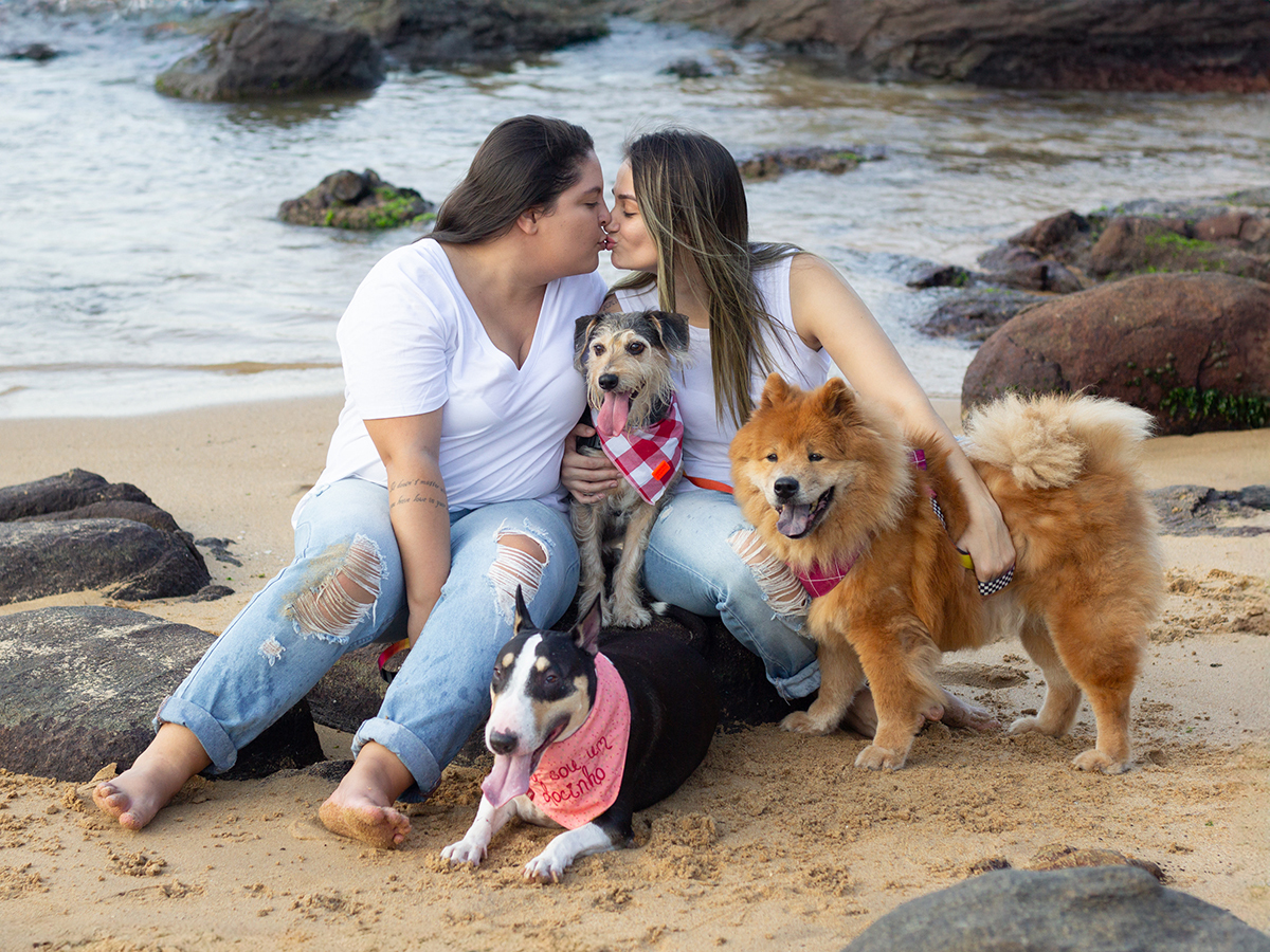 fotografia-pet-praia-ensaio-srd-vira-lata-bull-terrier-chow-chow-espirito-santo