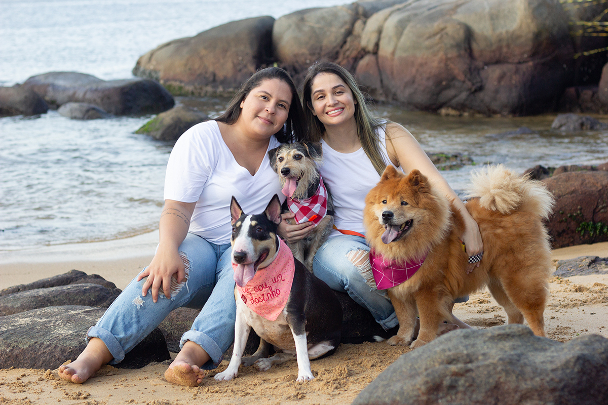 fotografia-pet-praia-ensaio-srd-vira-lata-bull-terrier-chow-chow-espirito-santo