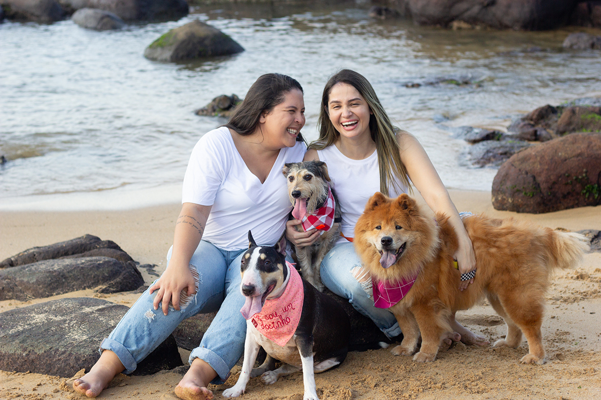fotografia-pet-praia-ensaio-srd-vira-lata-bull-terrier-chow-chow-espirito-santo