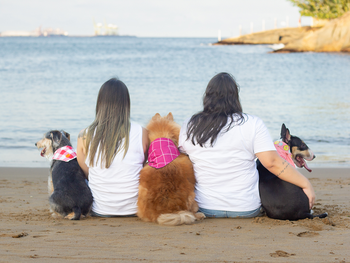 fotografia-pet-praia-ensaio-srd-vira-lata-bull-terrier-chow-chow-espirito-santo
