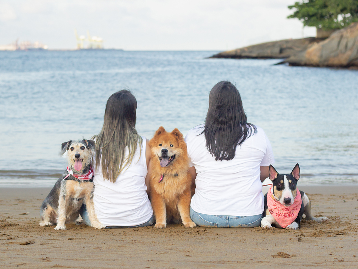 fotografia-pet-praia-ensaio-srd-vira-lata-bull-terrier-chow-chow-espirito-santo