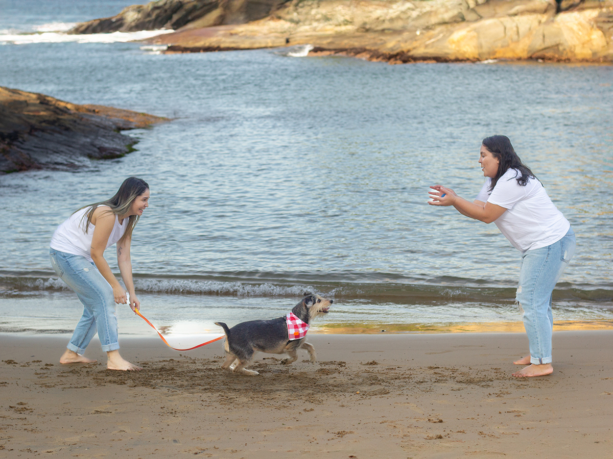 fotografia-pet-praia-ensaio-srd-vira-lata-espirito-santo