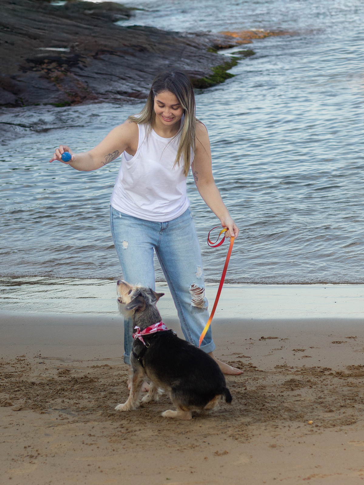 fotografia-pet-praia-ensaio-srd-vira-lata-espirito-santo