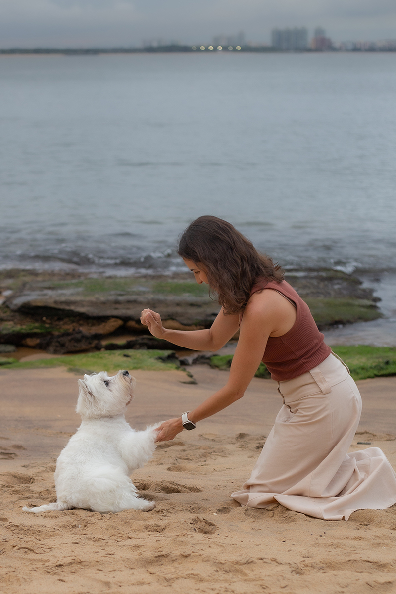 fotografia-pet-familia-westterrier-vitoria-espiritosanto