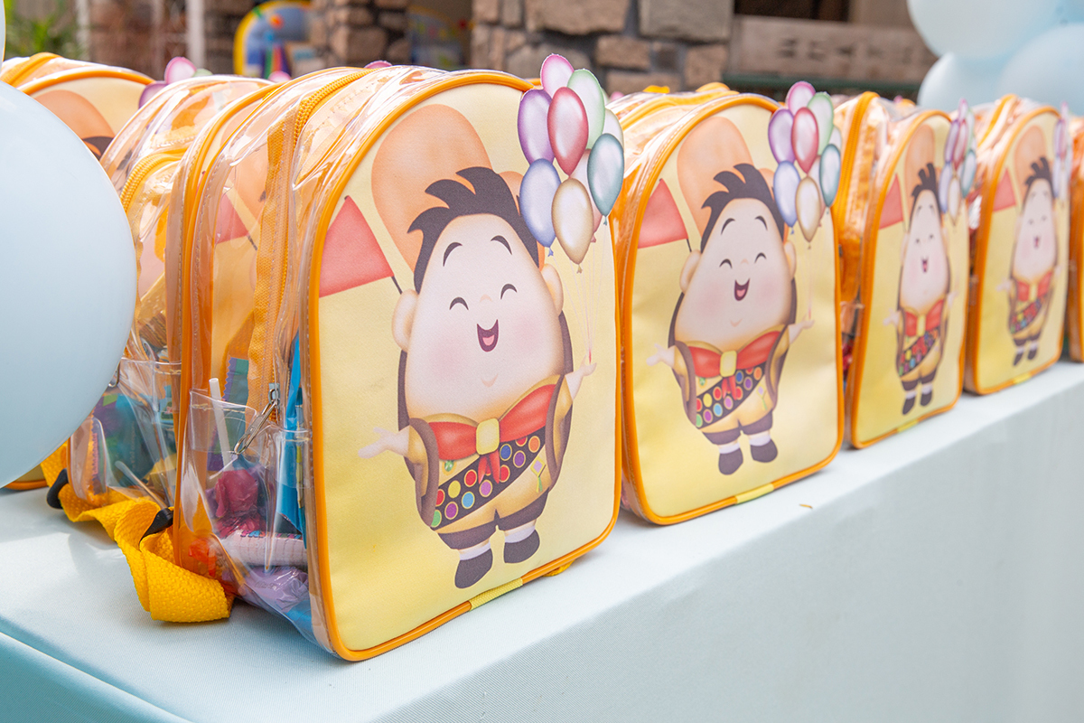 fotografia-aniversario-infantil-familia-decoracao-upaltasaventuras-vitoria-espiritosanto