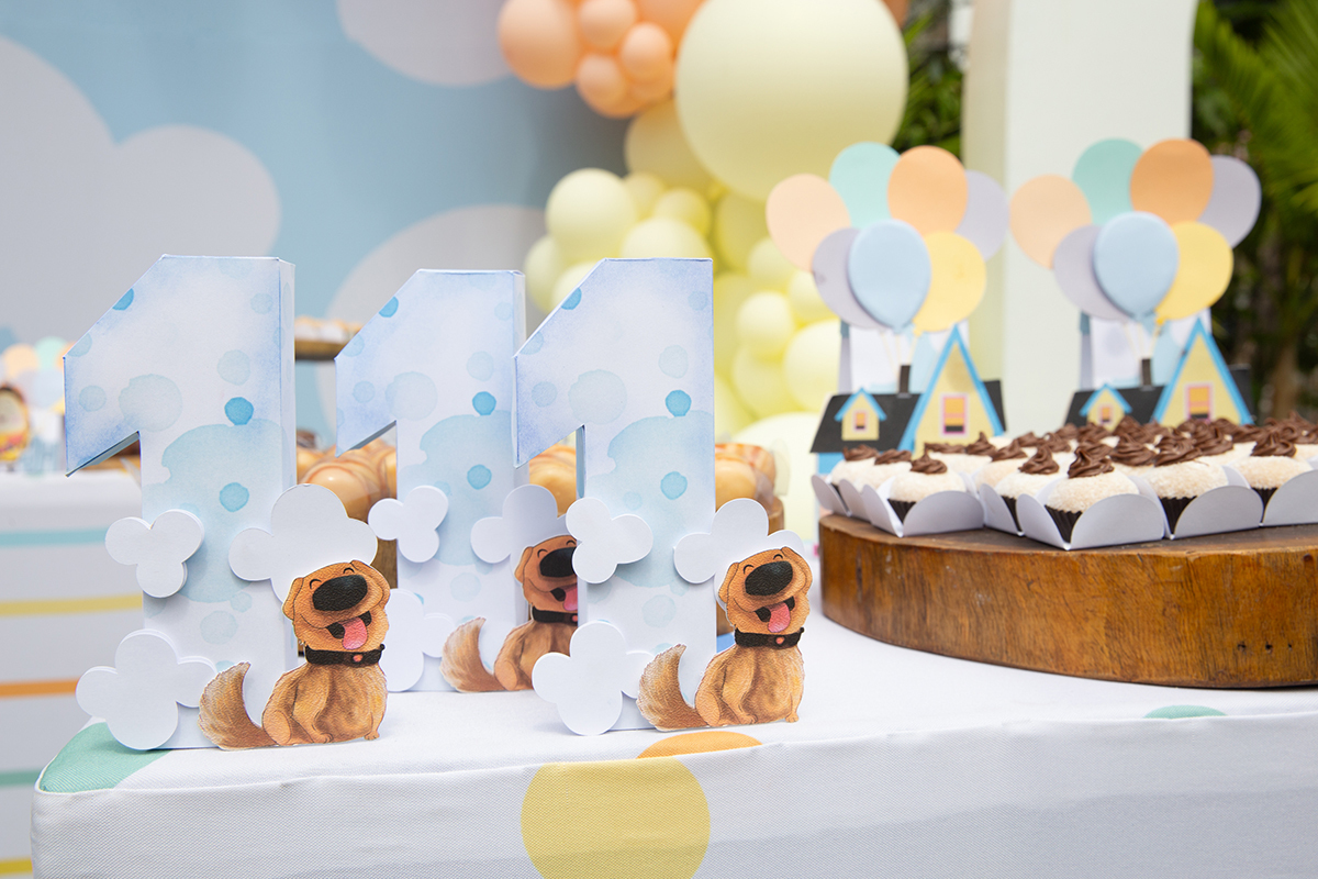 fotografia-aniversario-infantil-familia-decoracao-upaltasaventuras-vitoria-espiritosanto