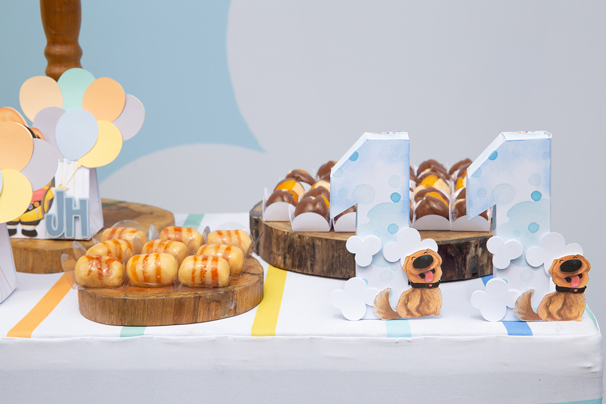 fotografia-aniversario-infantil-familia-decoracao-upaltasaventuras-vitoria-espiritosanto