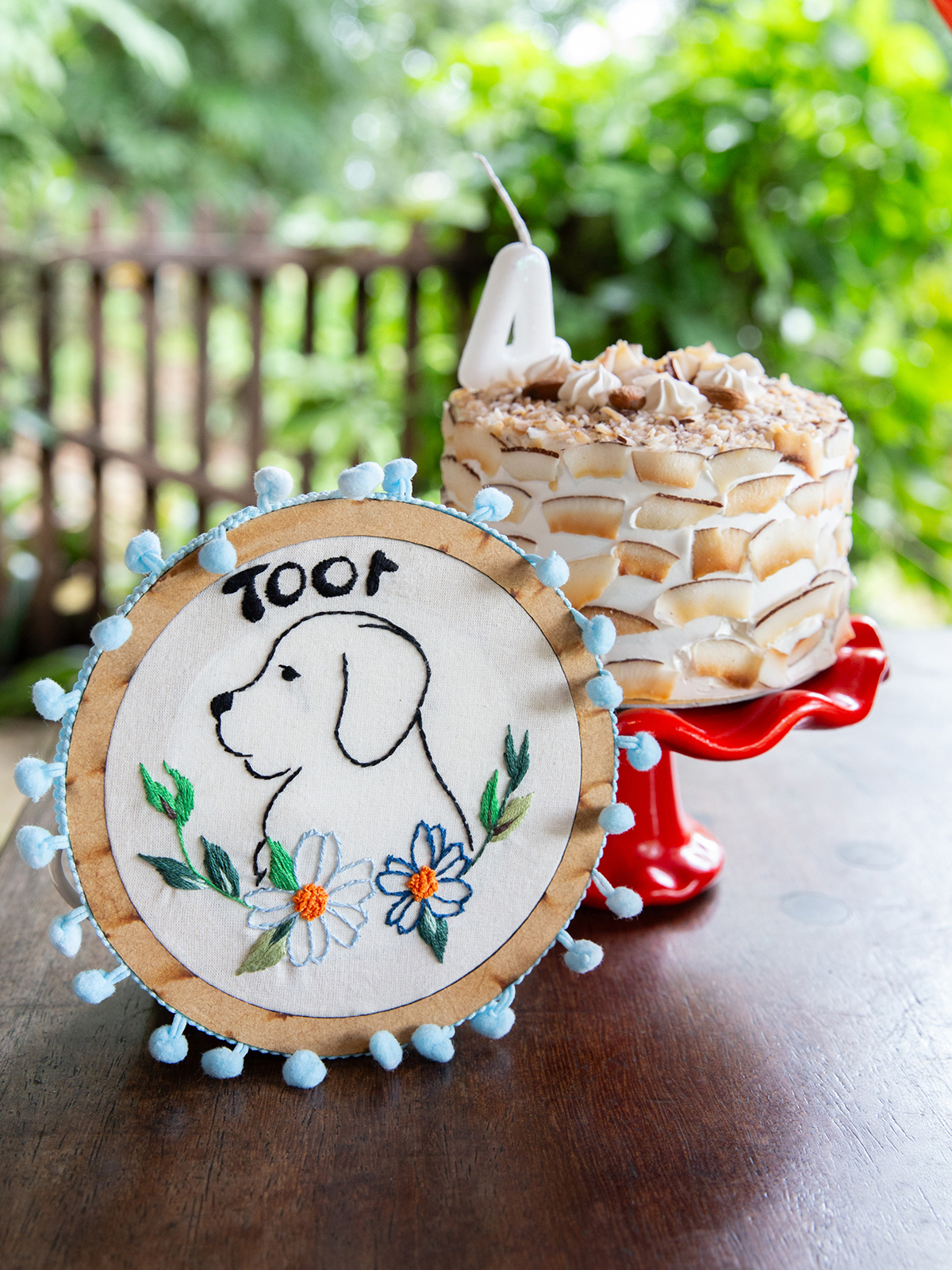 fotografia-pet-aniversario-shihtzu-vilavelha-espiritosanto