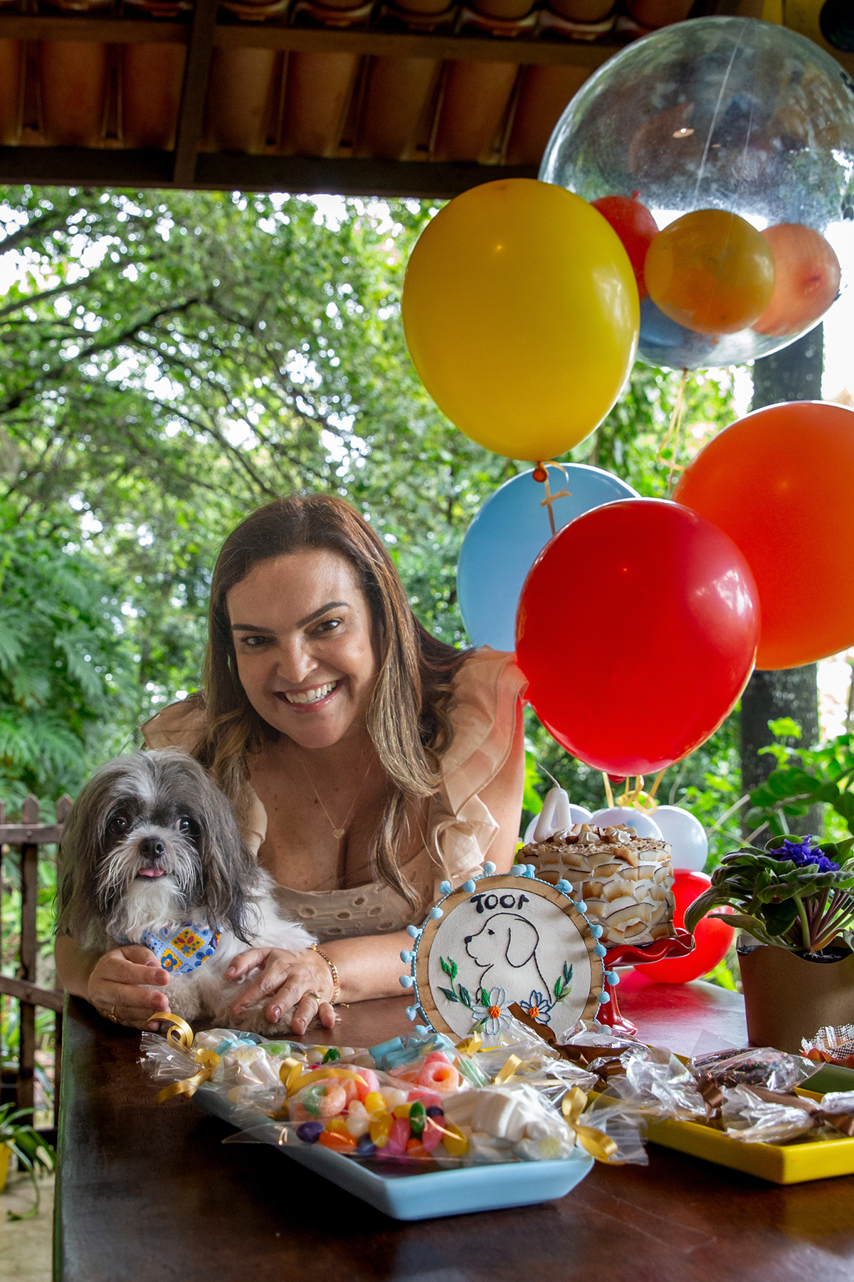 fotografia-pet-aniversario-shihtzu-vilavelha-espiritosanto