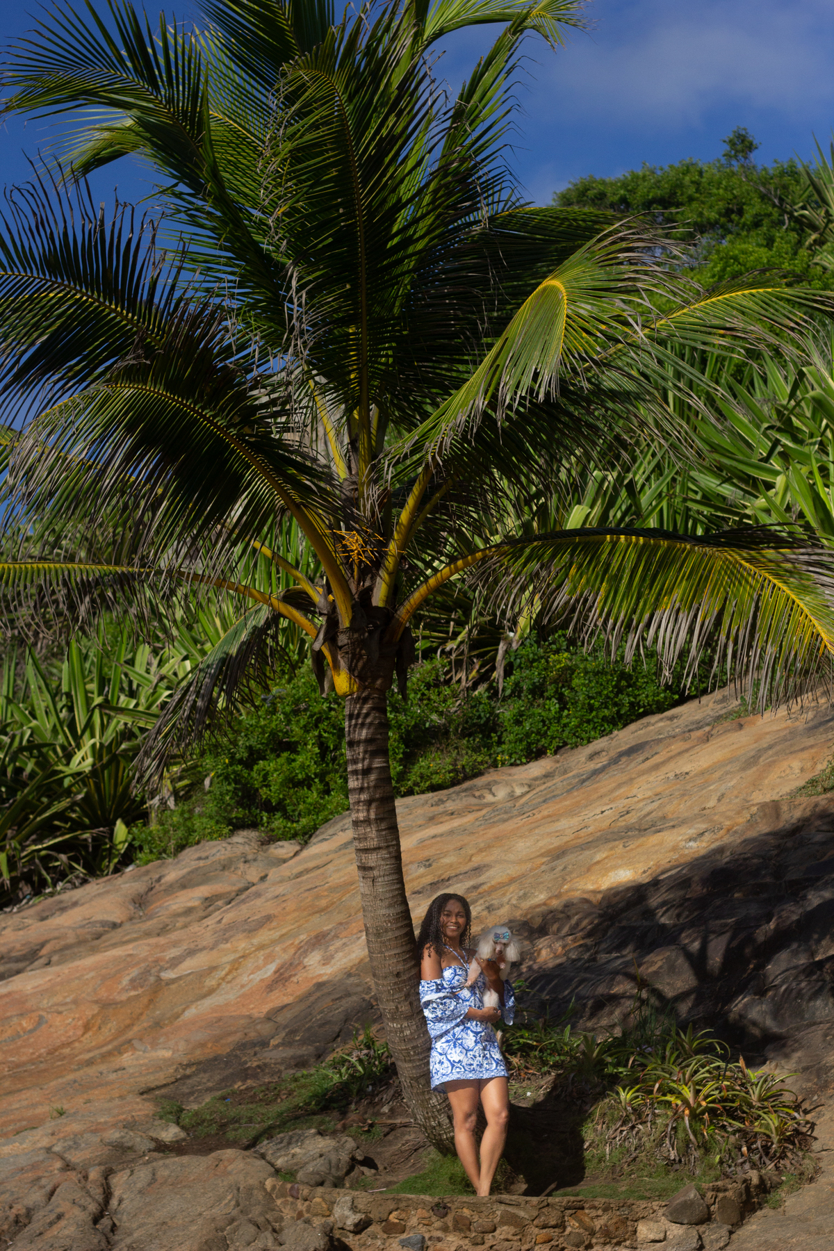 fotografia-pet-ensaio-praia-poodle-idoso-barradojucu-vilavelha