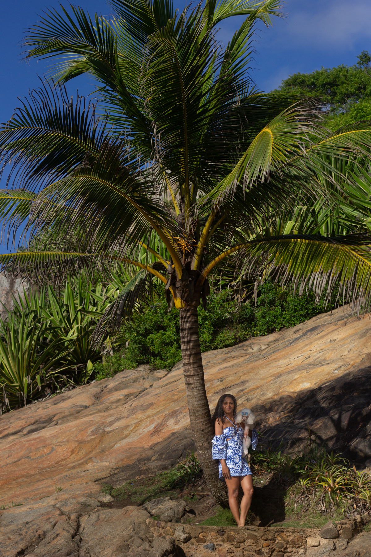 fotografia-pet-ensaio-praia-poodle-idoso-barradojucu-vilavelha