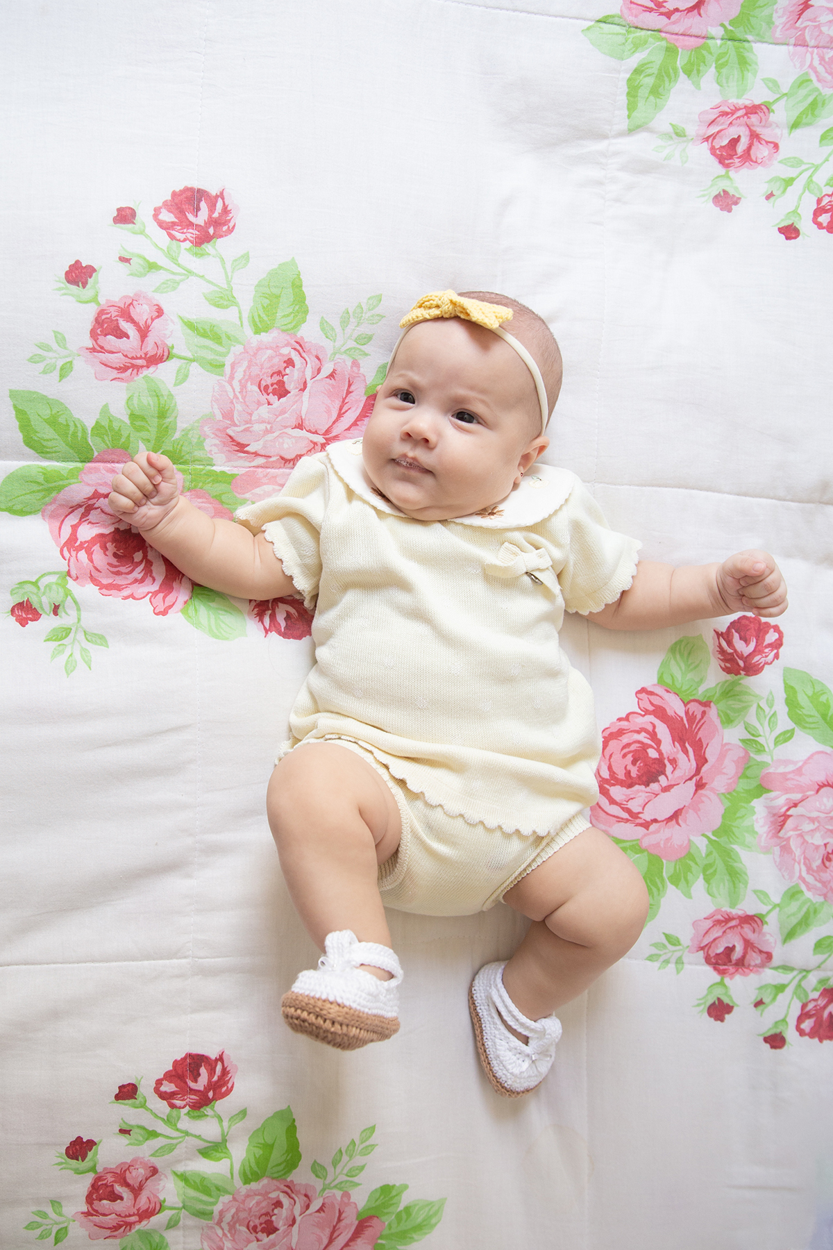 ensaio-domicilio-pet-familia-vilavelha-2025