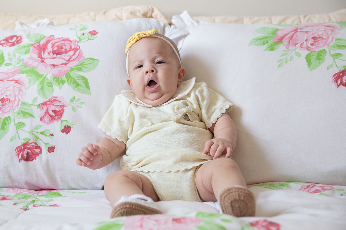 ensaio-domicilio-pet-familia-vilavelha-2025