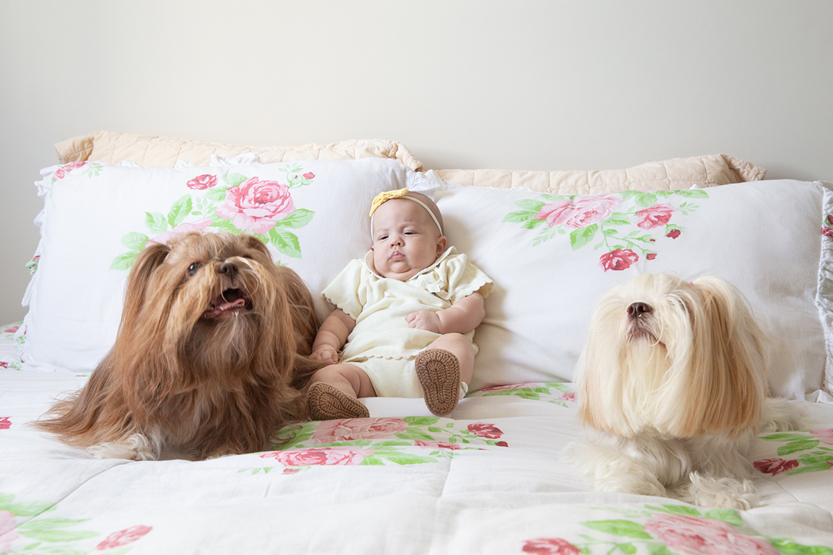 ensaio-domicilio-pet-familia-vilavelha-2025