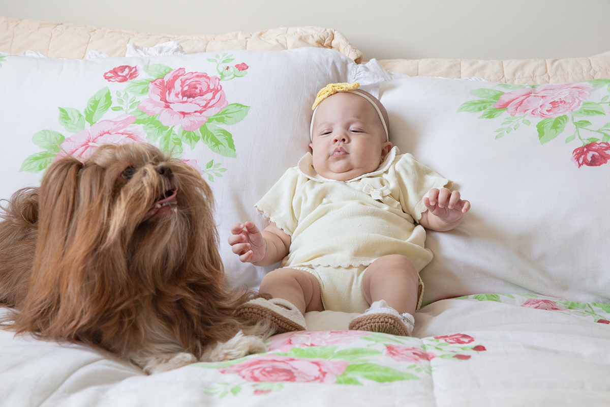 ensaio-domicilio-pet-familia-vilavelha-2025