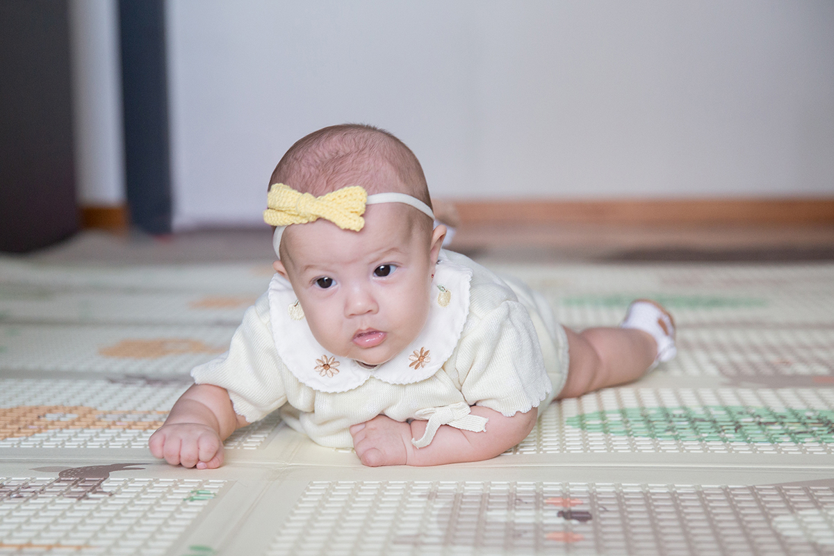 ensaio-domicilio-pet-familia-vilavelha-2025