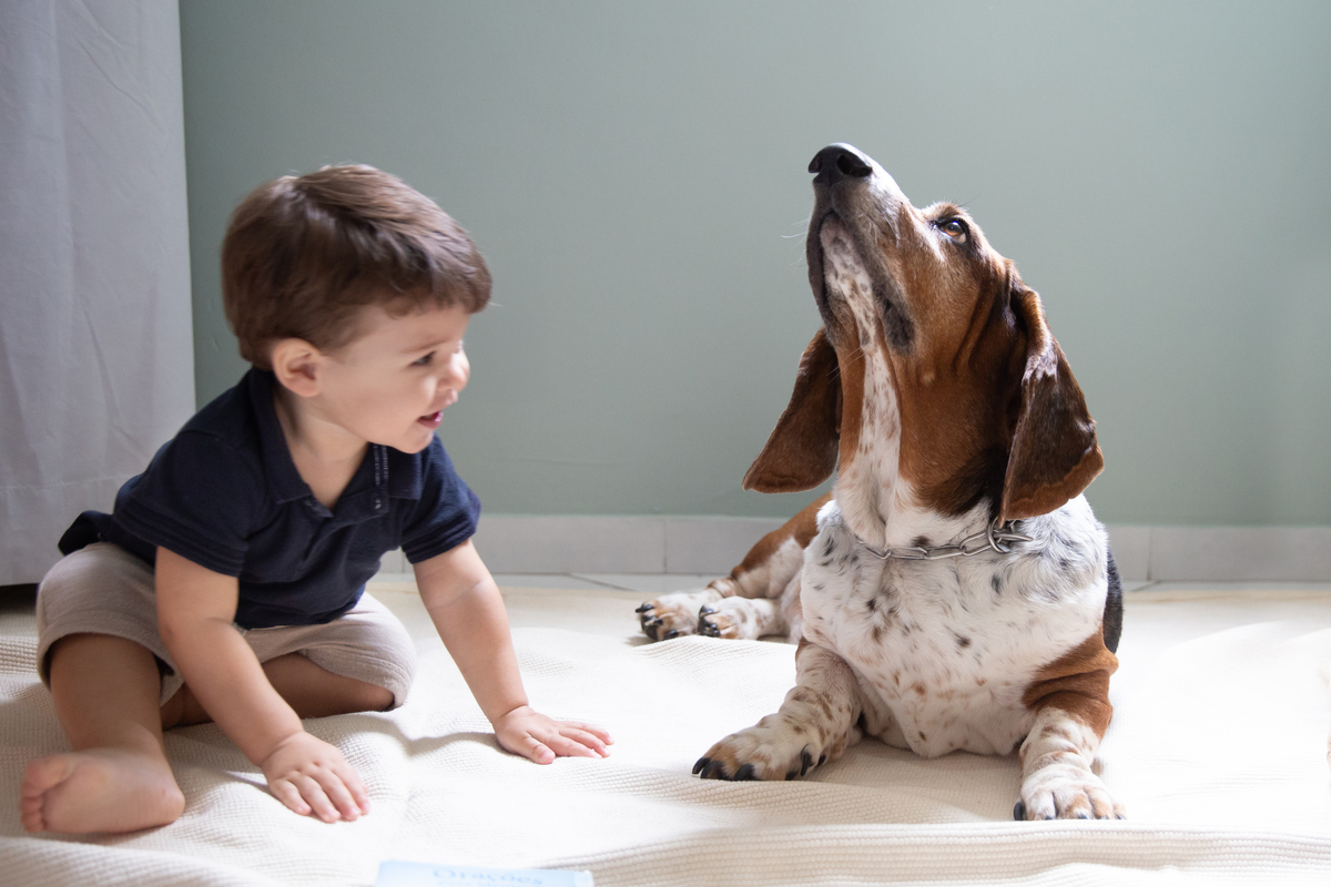 ensaio-familia-em-casa-vila-velha-2025