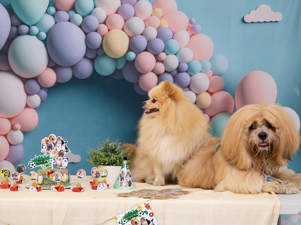 aniversario-pet-vila-velha-2025