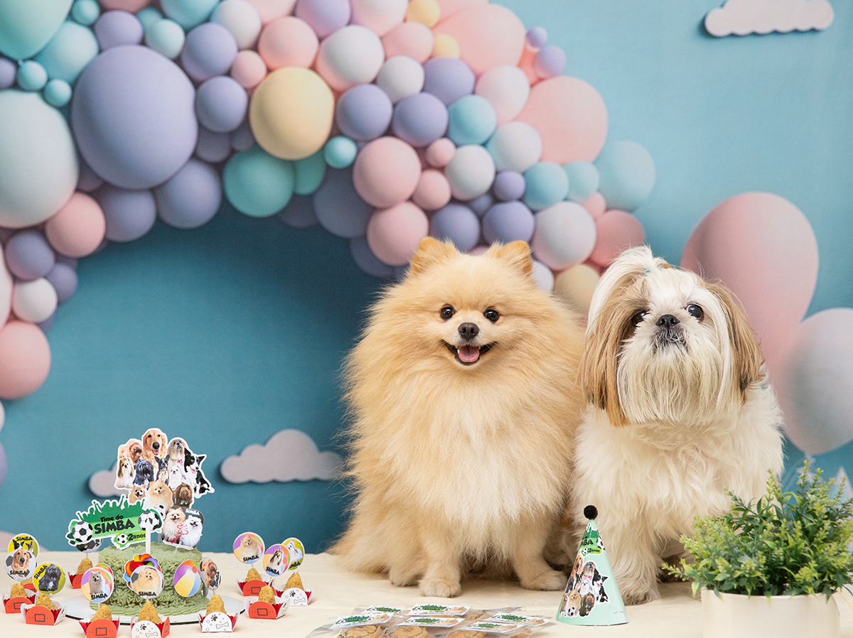 aniversario-pet-vila-velha-2025