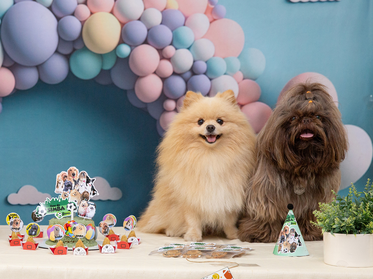 aniversario-pet-vila-velha-2025