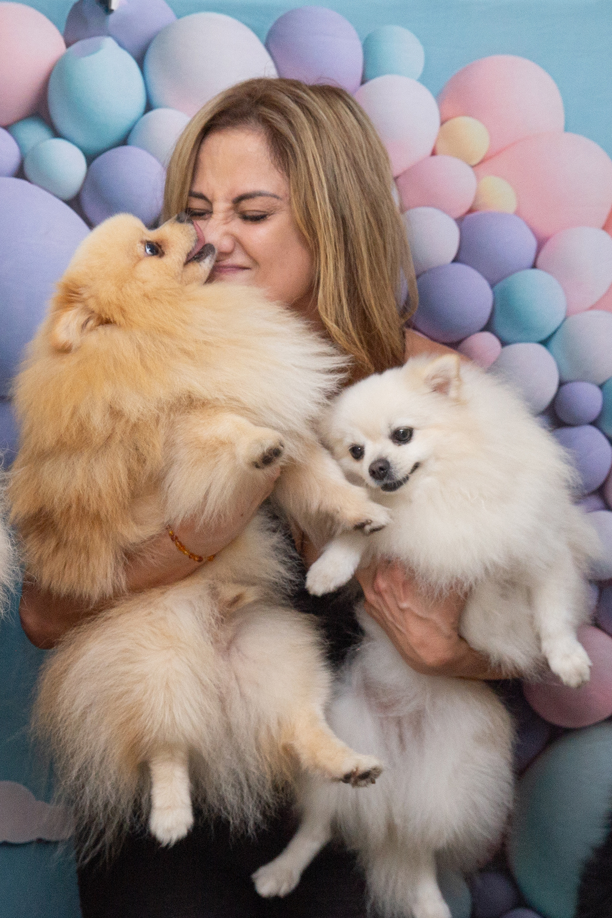 aniversario-pet-vila-velha-2025