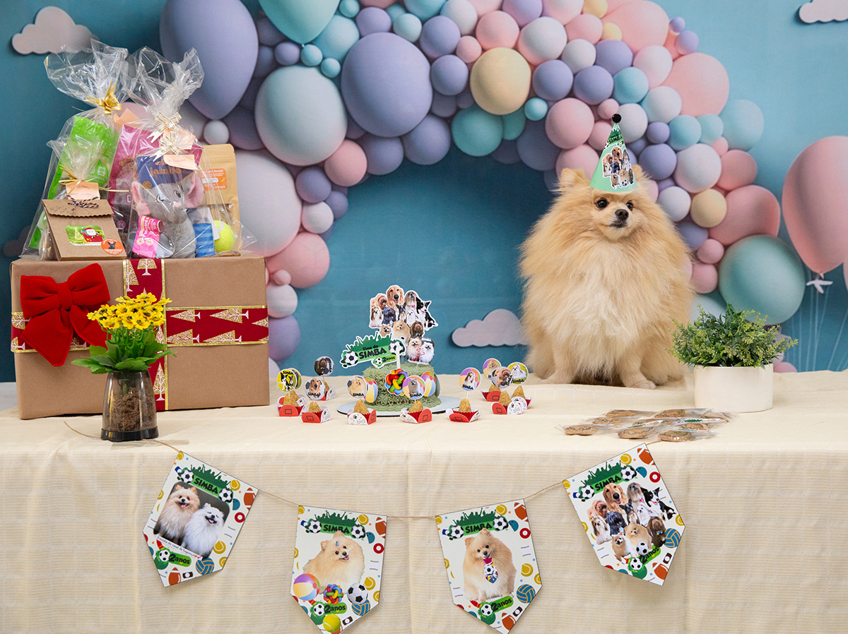 aniversario-pet-vila-velha-2025