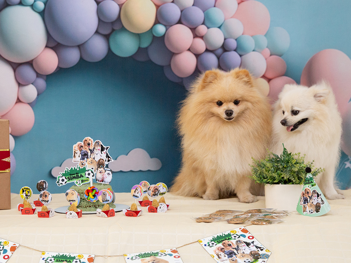 aniversario-pet-vila-velha-2025