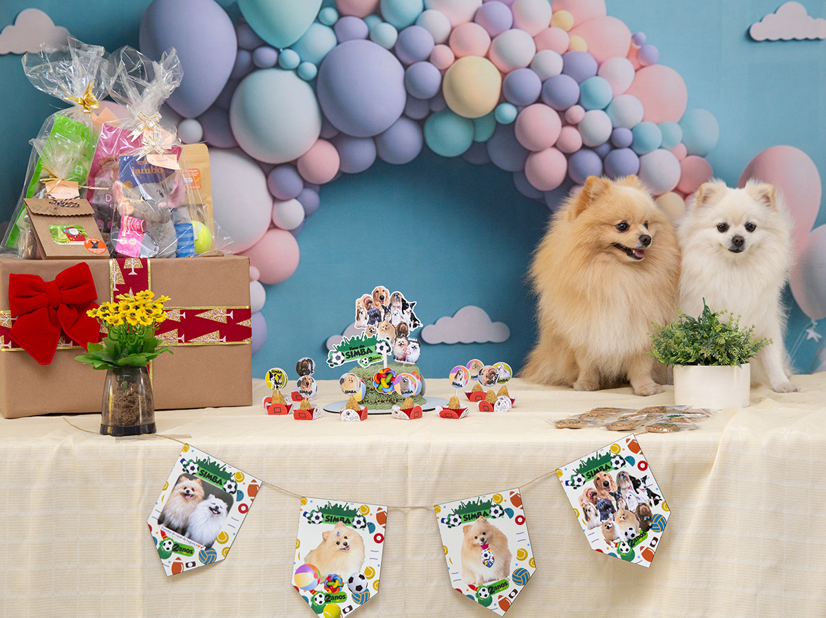 aniversario-pet-vila-velha-2025