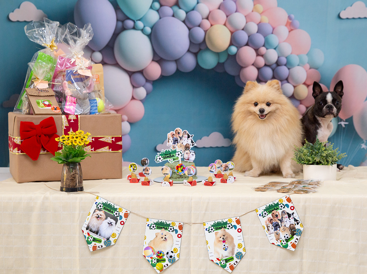 aniversario-pet-vila-velha-2025