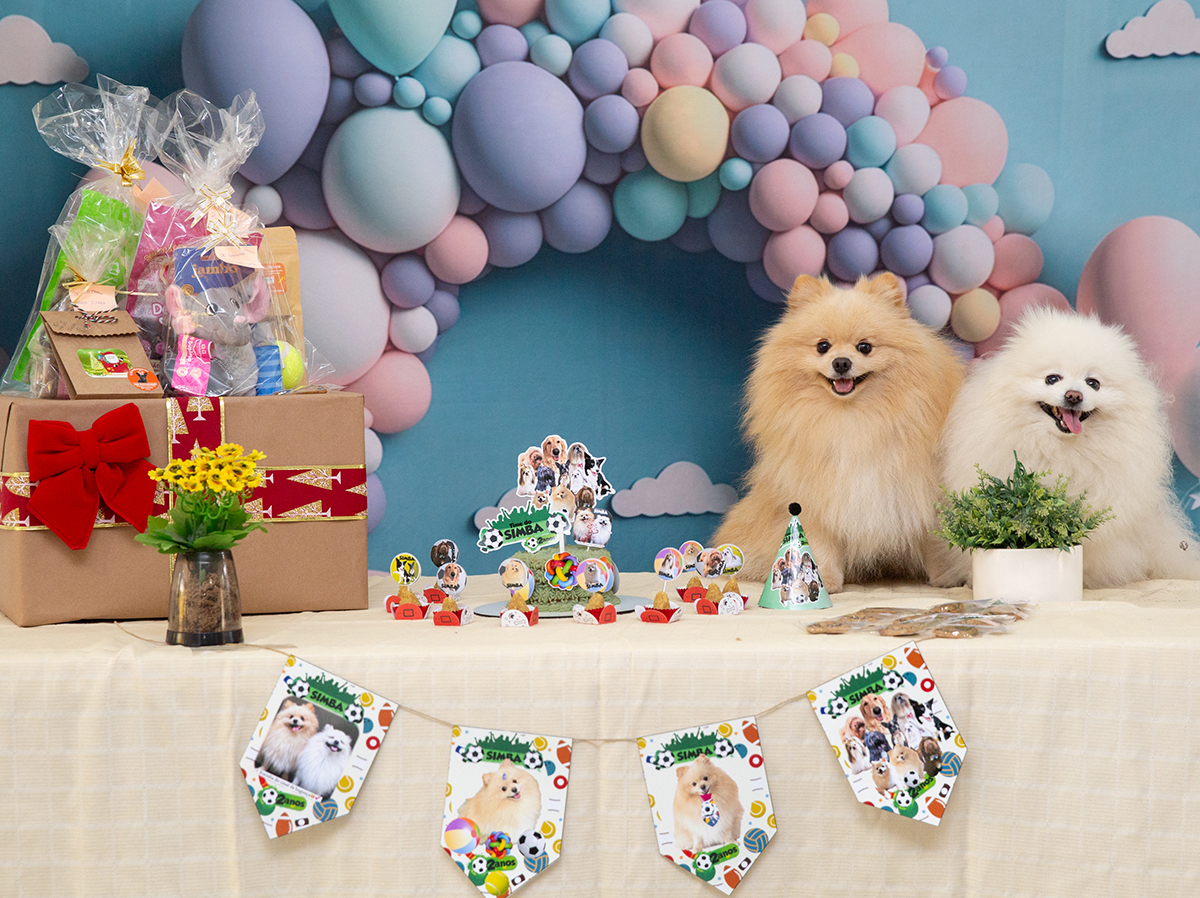 aniversario-pet-vila-velha-2025