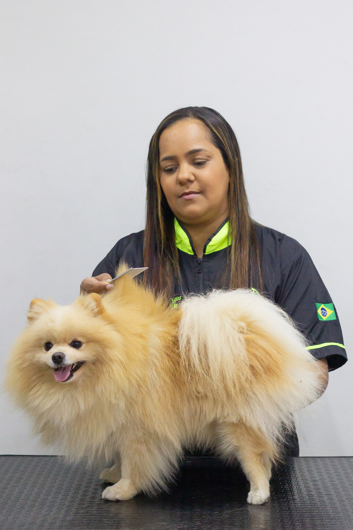 foto-profissional-groomer-corporativo-vila-velha-2026