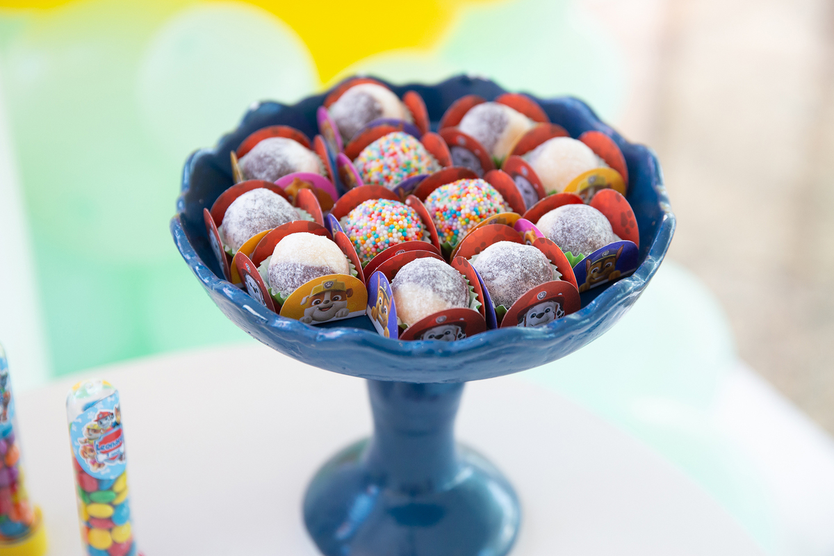 aniversario-infantil-patrulha-canina-familia-vila-velha-2026