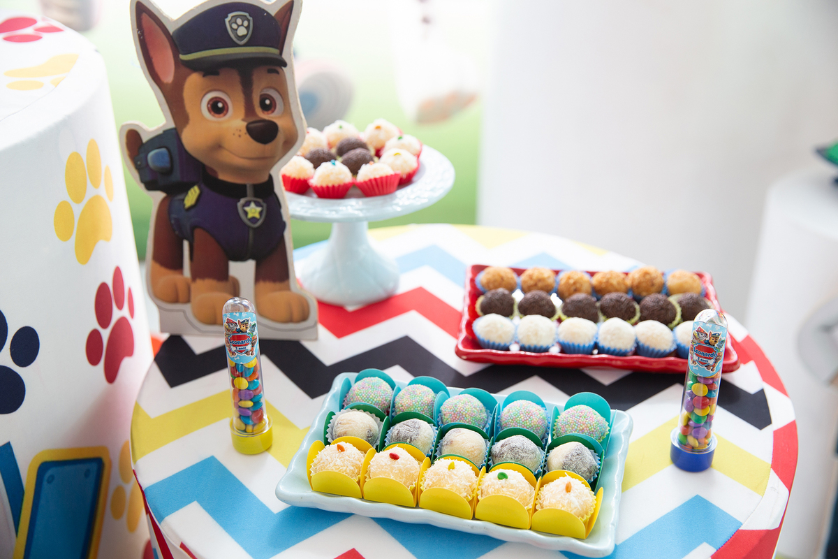 aniversario-infantil-patrulha-canina-familia-vila-velha-2026