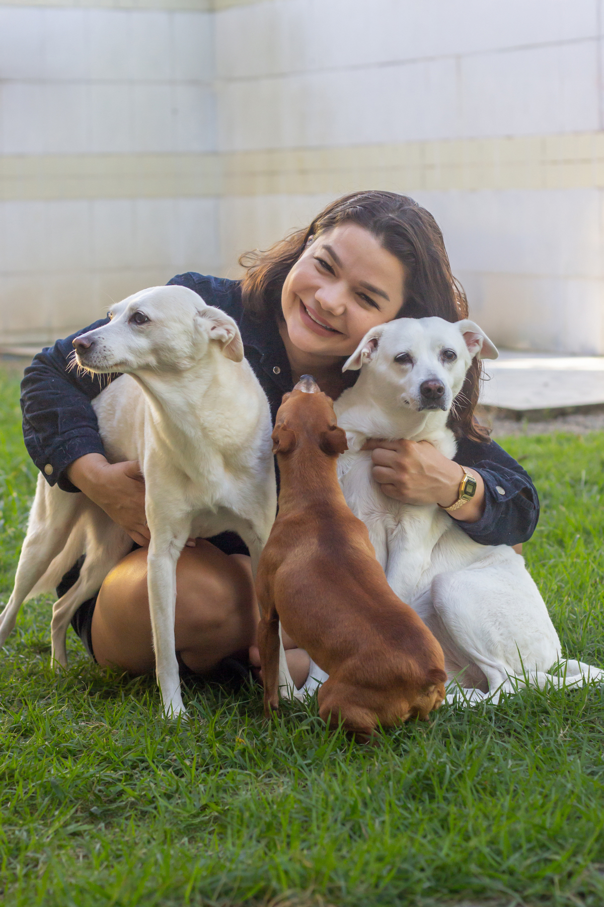 ensaio-pet-familia-vira-latas-vila-velha-2026