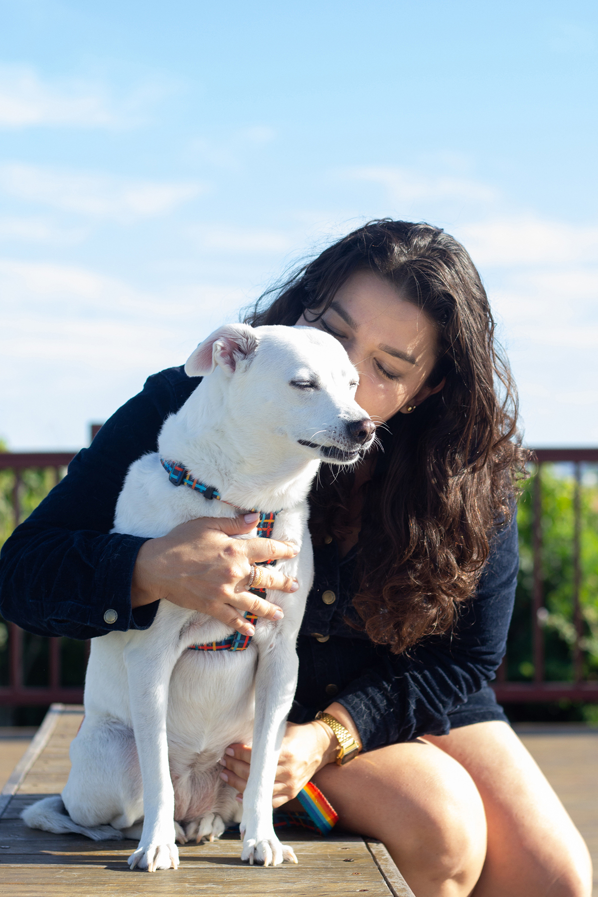 ensaio-pet-familia-vira-latas-vila-velha-2026