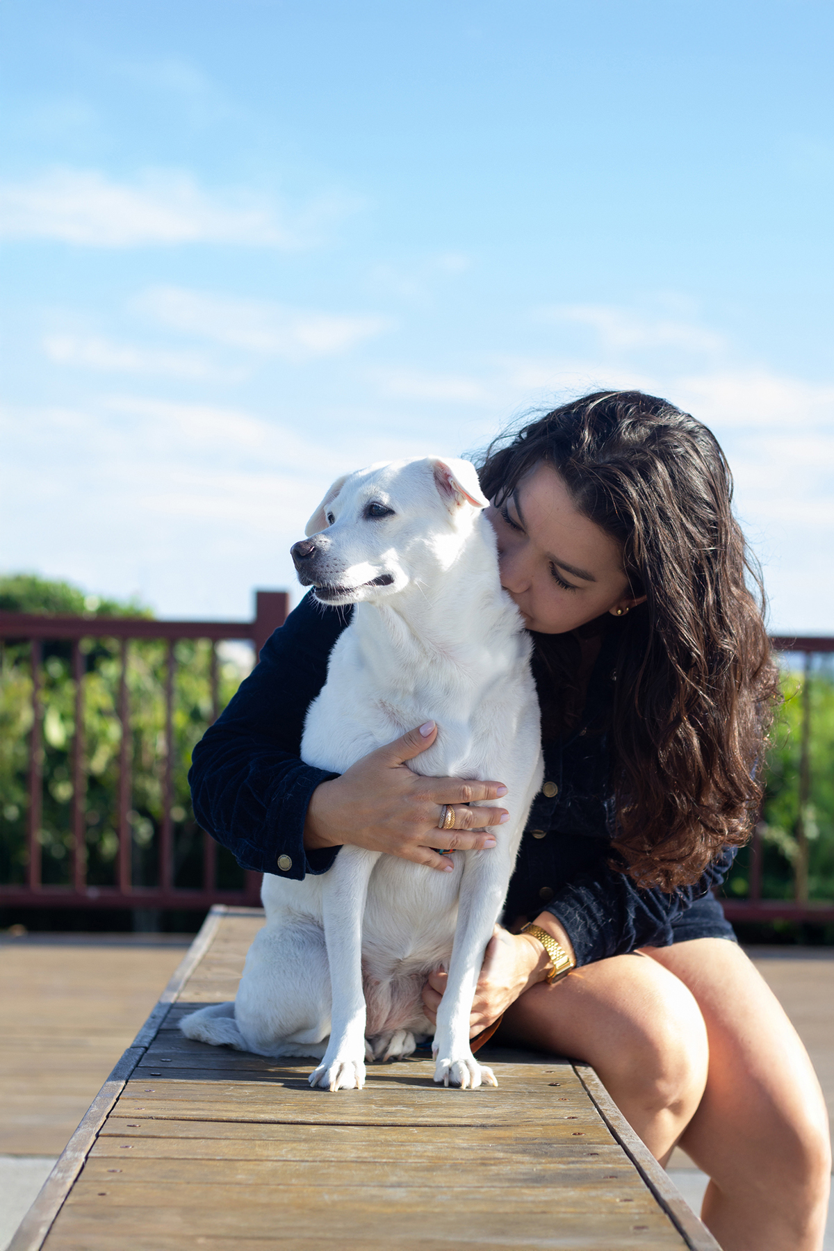 ensaio-pet-familia-vira-latas-vila-velha-2026