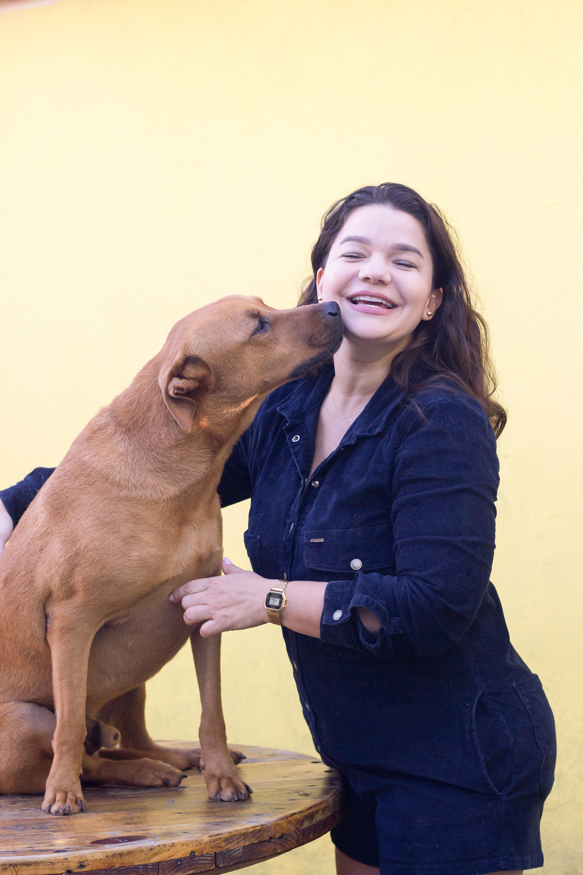 ensaio-pet-familia-vira-latas-vila-velha-2026