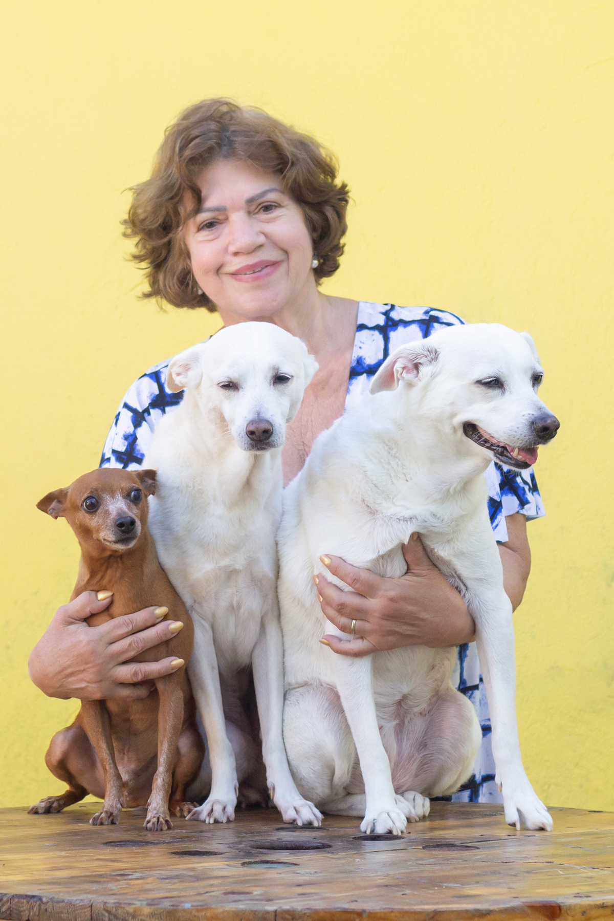 ensaio-pet-familia-vira-latas-vila-velha-2026