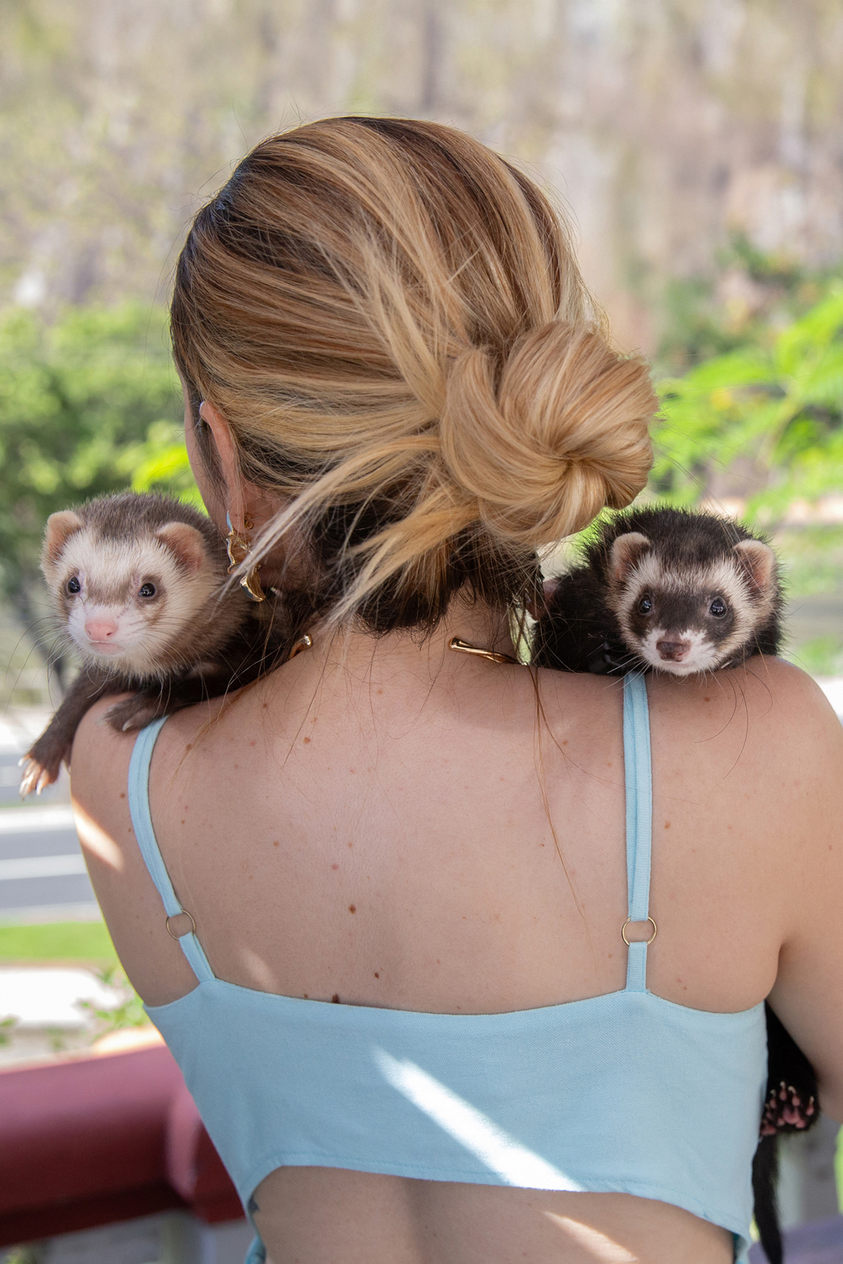 ensaio-pet-familia-foroes-vitoria-2026