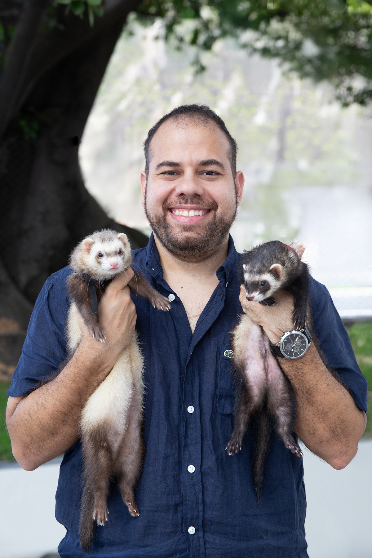 ensaio-pet-familia-foroes-vitoria-2026