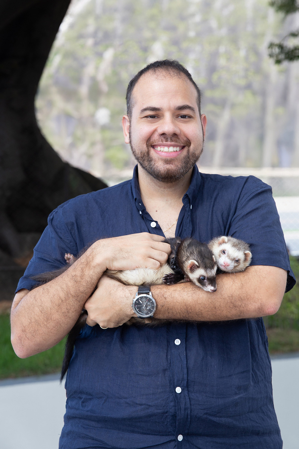 ensaio-pet-familia-foroes-vitoria-2026