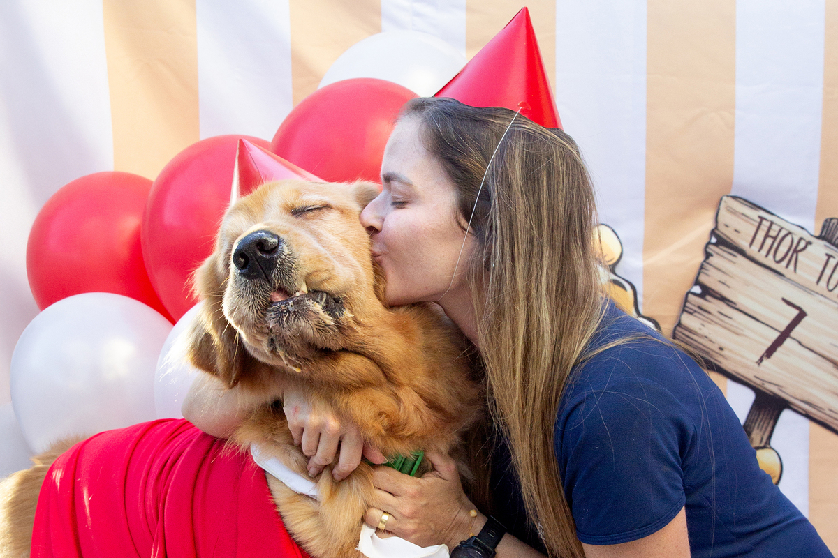 aniversario-pet-vitoria-ursinho-pooh-vitoria-2026 