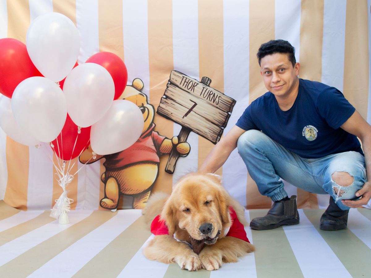 aniversario-pet-vitoria-ursinho-pooh-vitoria-2026 