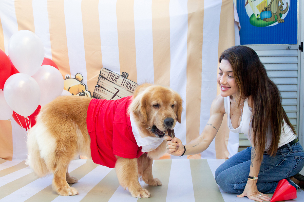 aniversario-pet-vitoria-ursinho-pooh-vitoria-2026 